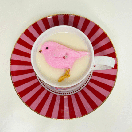 blushing-bird-kaarsen-2